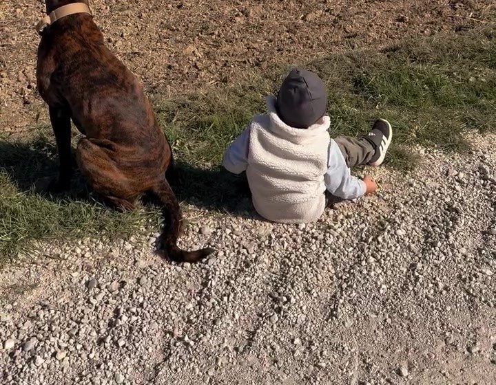Buddy und unser Kleinkind sitzen nebeneinander am Feldrand