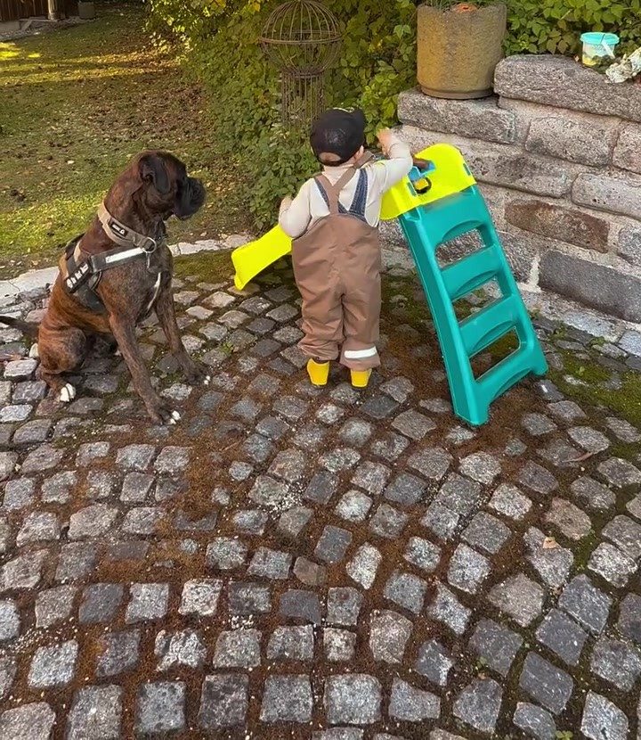 Buddy sitzt im Garten neben unserem Kleinkind an der Kinderrutsche