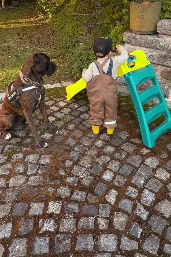 Buddy sitzt im Garten neben unserem Kleinkind an der Kinderrutsche